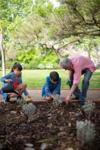 Grandfather and grandchildren tending to the garden together, fostering bonding outdoors.