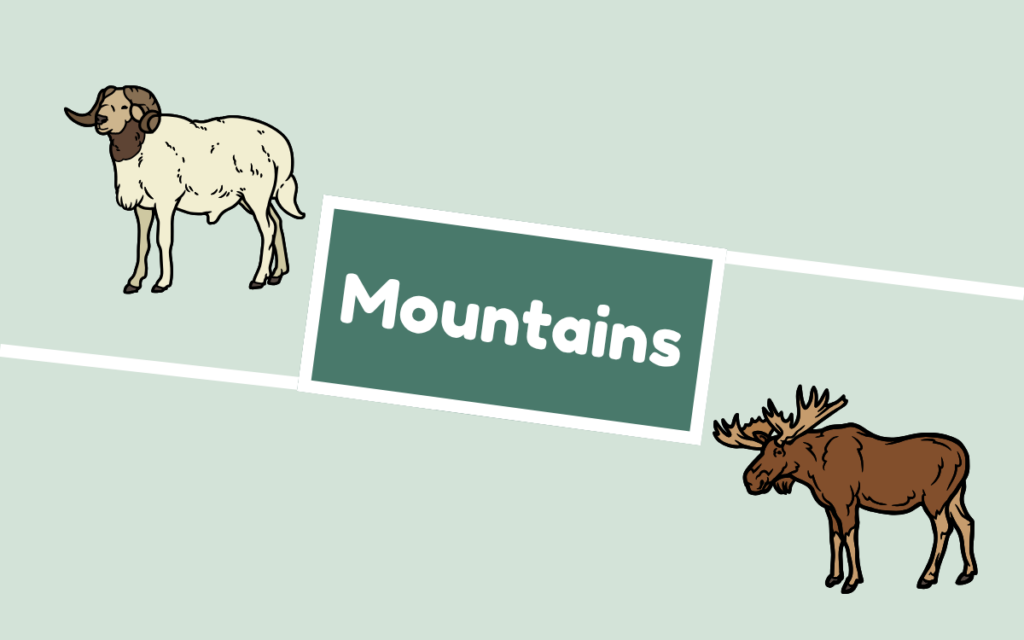 Bighorn sheep and moose. Mountains habitat.